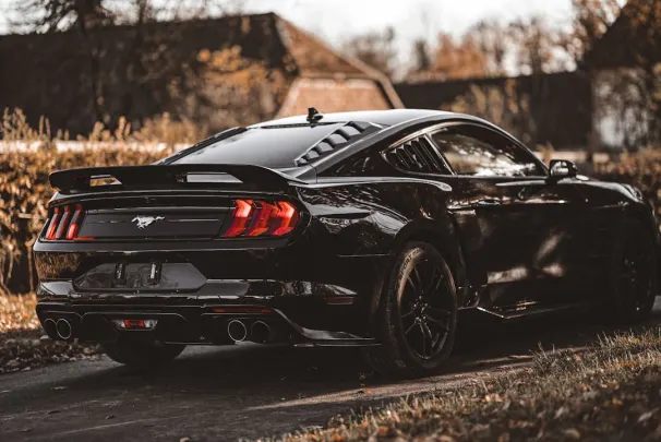 Bizz Casino Android/iOS aplikacija